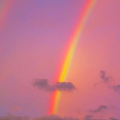 散游盒子app下载